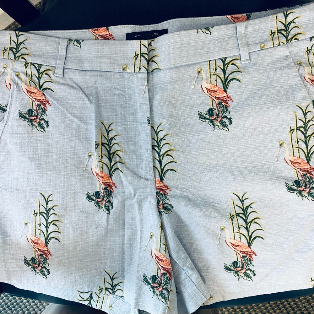 Ann Taylor Light Blue Flamingo Print Shorts